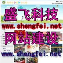 鄭州盛飛科技公司 專業(yè)網(wǎng)站建設(shè)，以視覺之美賦能品牌形象